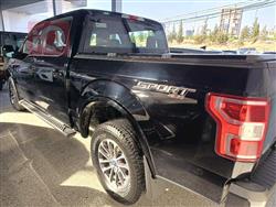 فۆرد F-150